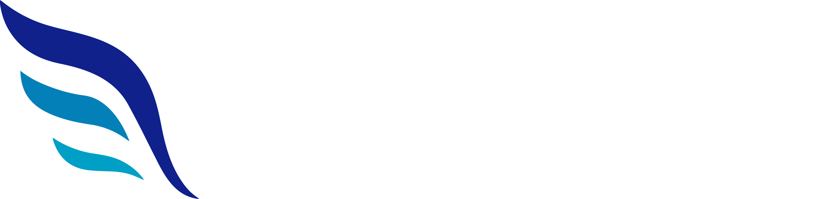 BDWings Logo